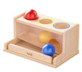 Dailyfunn Montessori Toys Object Permanence Box Ball Tracker Drop Push Toy for Boy Girl Baby Toddler Kid Preschooler 1-3 Years Old