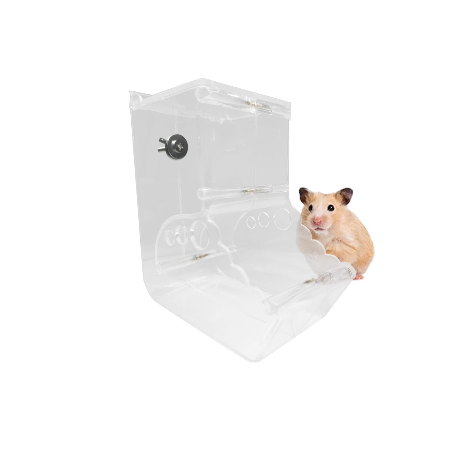 BenePoint Automatic Hamster Feeder Clear Acrylic Automatic Pet Feeder Pet Food Dispenser Hamster Food Bowl Guinea Pig Food Dispenser for Small Animal Feeding & Watering Supplies (L)