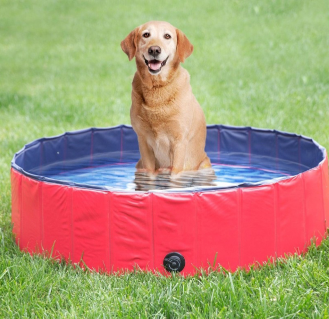Pet Supplies, Foldable Swimming Pool