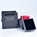 Universal Jewelry Box for Earrings, Bracelets, Rings