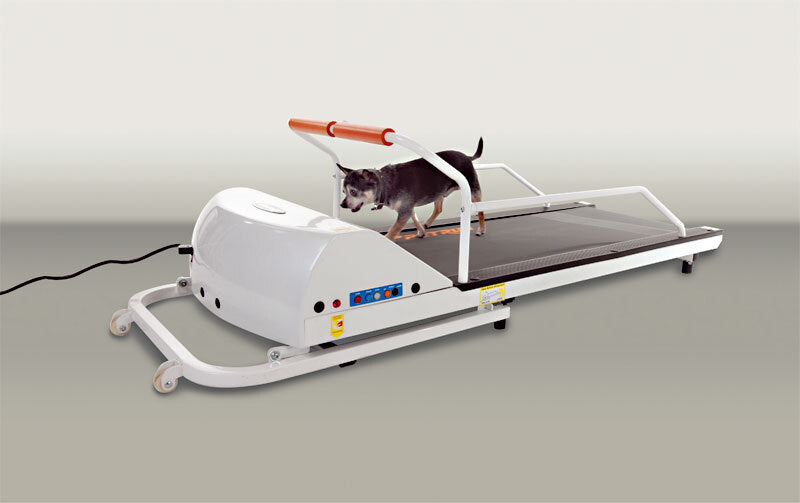 Gopet binary PR710F ToySmall Breed TreadMill