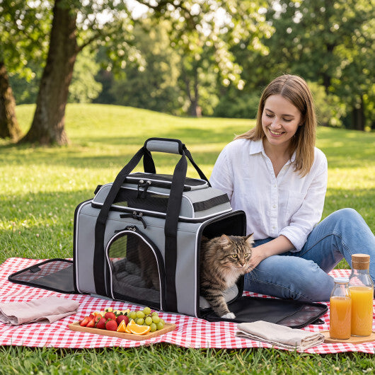 Foldable Pet Carrier with Wheels Airline Approved Rolling Cat and Dog Carrier-Grey - Color: Gray