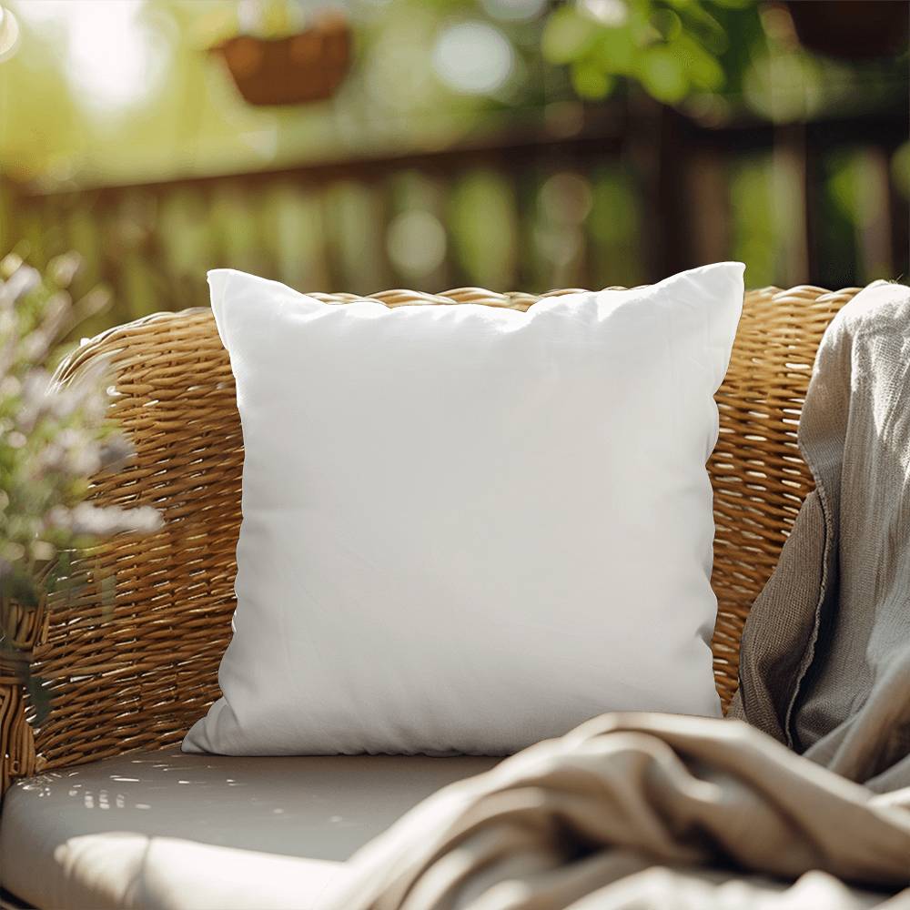 Indoor/Outdoor Pillow