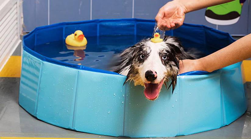 Pet Supplies, Foldable Swimming Pool